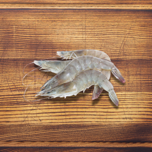 8/12 Kaua'i Shrimp